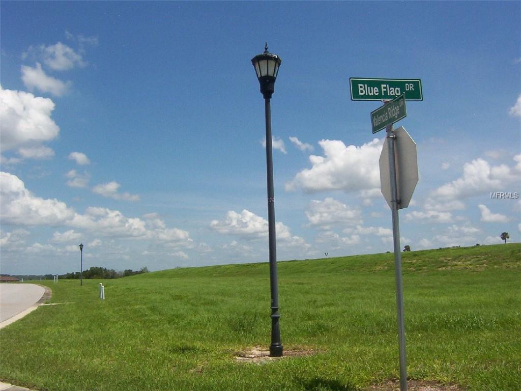 124 Valencia Ridge Circle - Photo 1