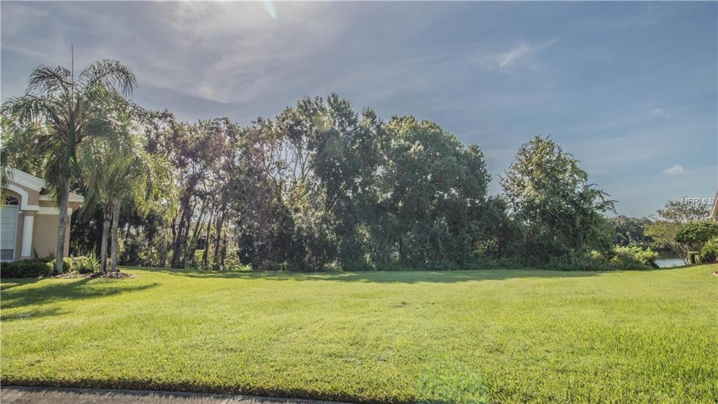 4427 Winding Oaks Circle - Photo 1