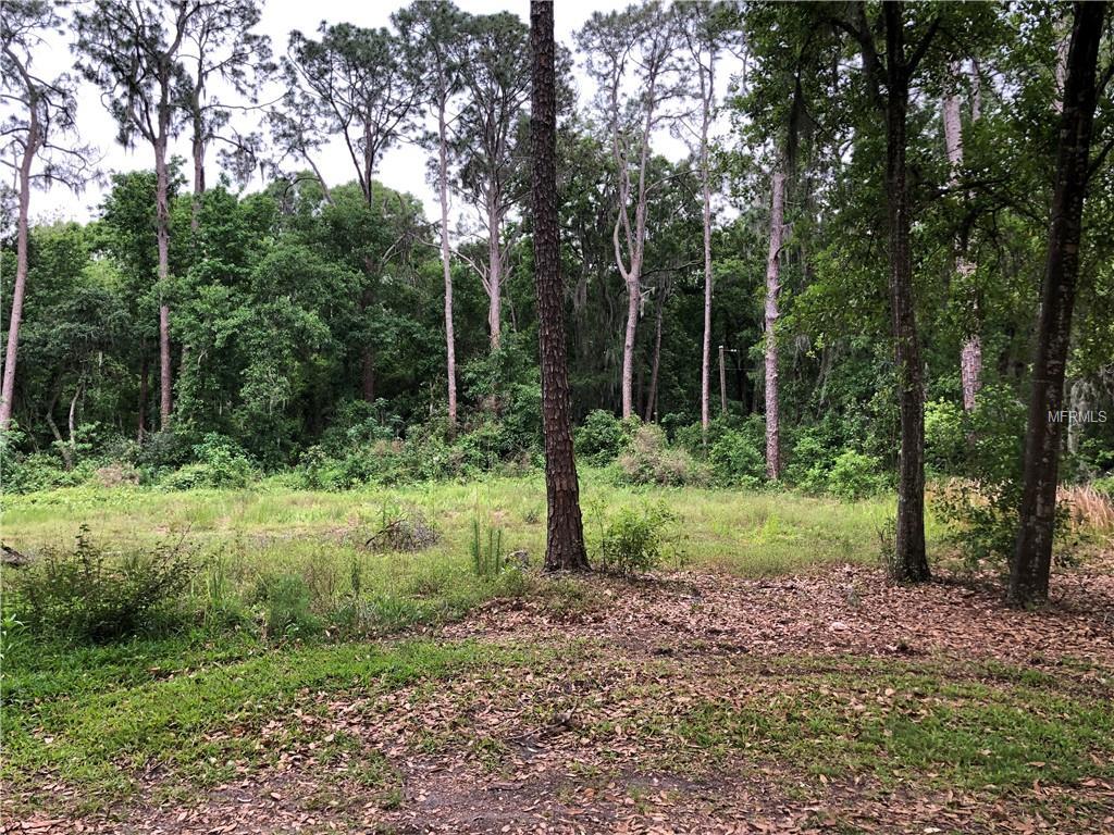 818 Winnie Lane - Photo 1