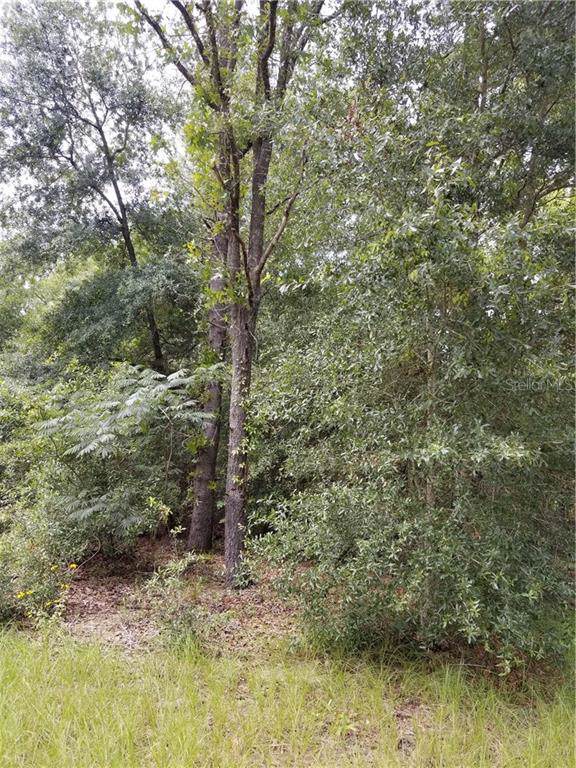 Undetermined Sw 142Nd Ct - Photo 1