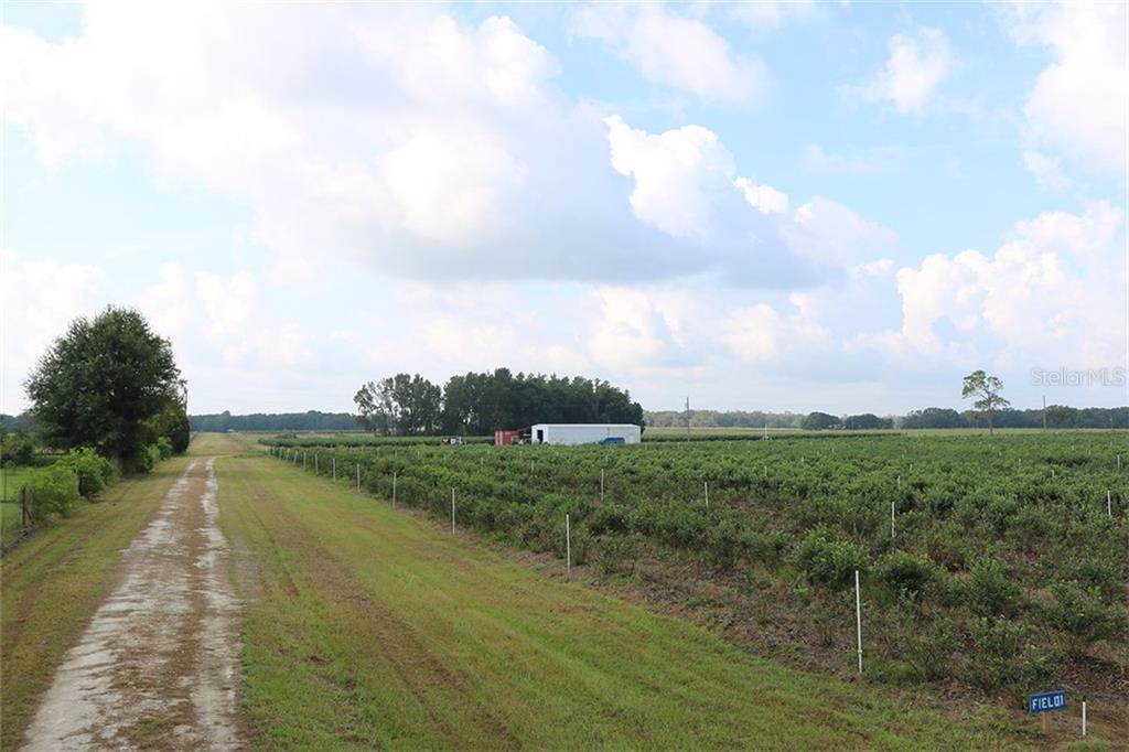28978 Johnston Road - Photo 1