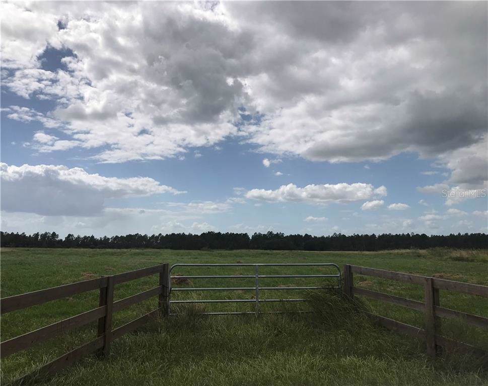 10199 Hwy 555 - Photo 1