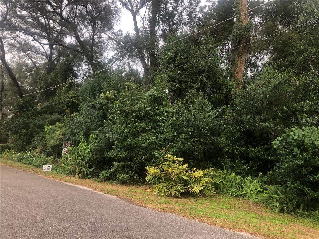 Robert Drive - Photo 1