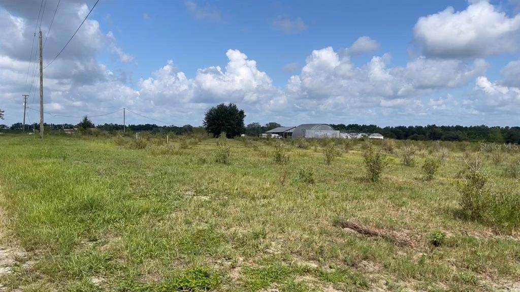 Lake Lowery Road - Photo 1