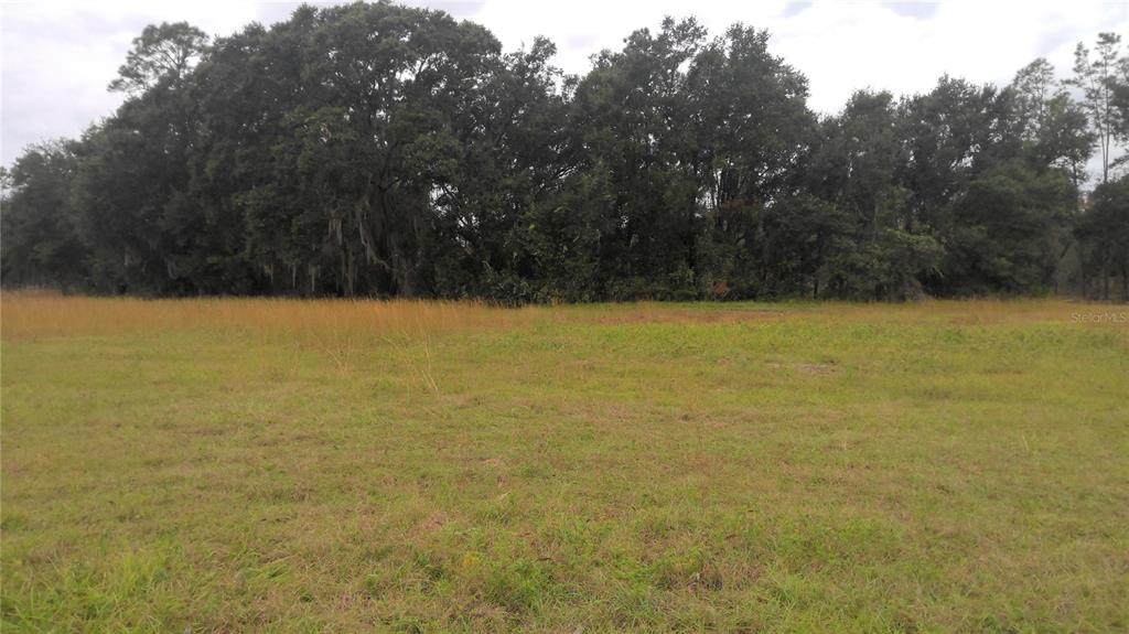 0 Cypress Trace Boulevard - Photo 1