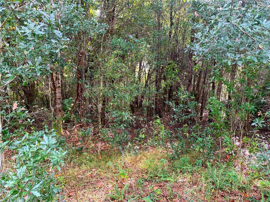 0 SE 140 LN - Photo 1