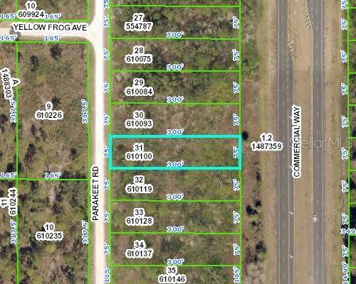18316 Parakeet Road - Photo 1