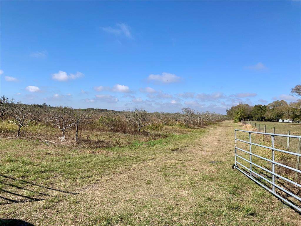 1235 Ed Wells Road - Photo 1