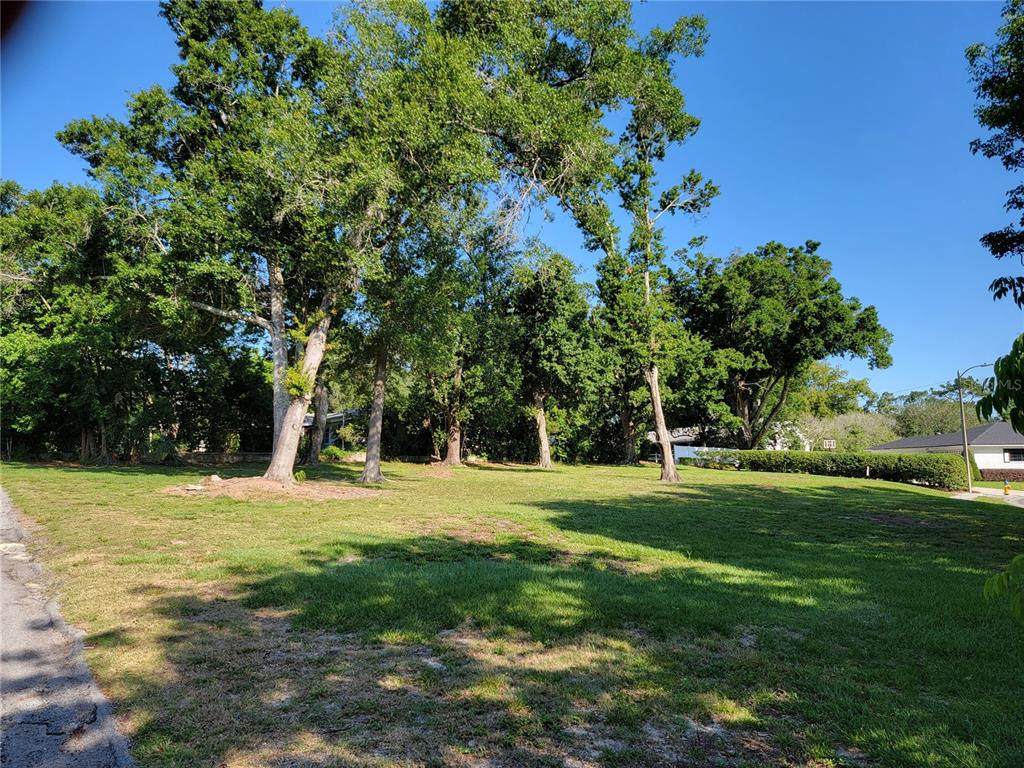 705 Penny Lane - Photo 1