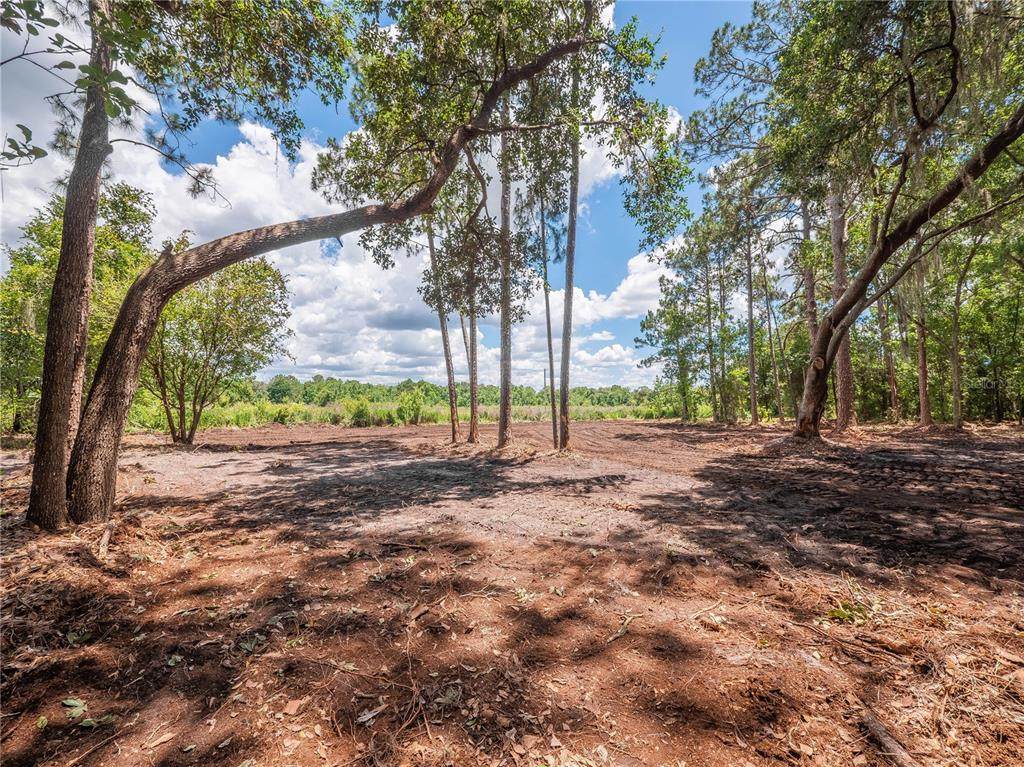 0 Pinecone Drive - Photo 1
