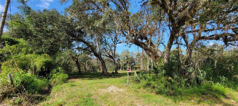 5142 Deer Run Drive - Photo 1