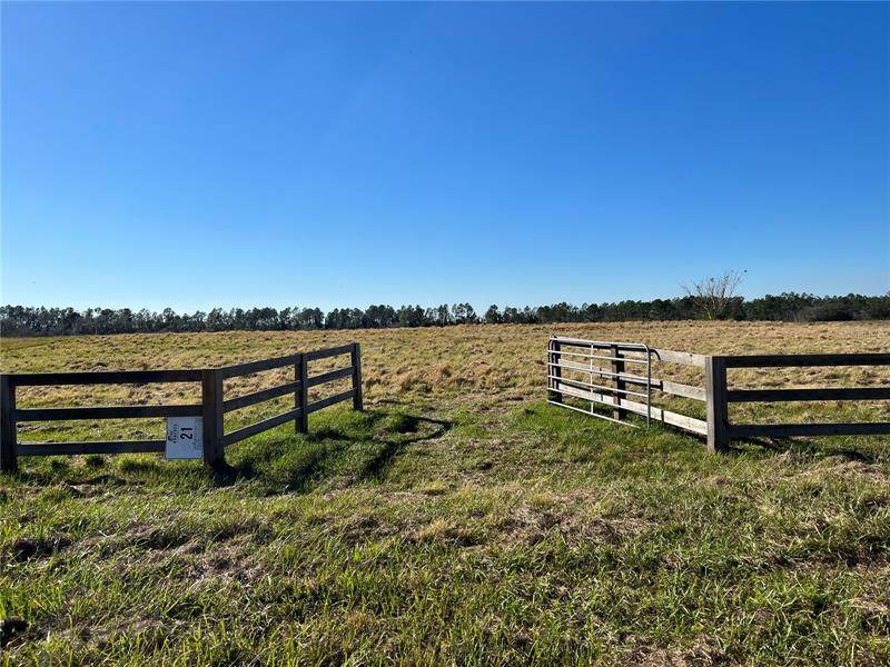 10229 Hwy 555 - Photo 1