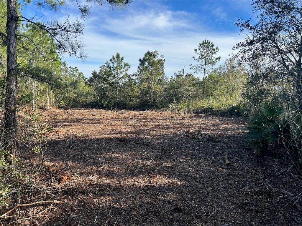 Old Grade Road - Photo 1
