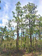 Lot 15 Ixora Drive - Photo 1