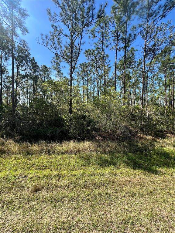  Althea Drive - Photo 1