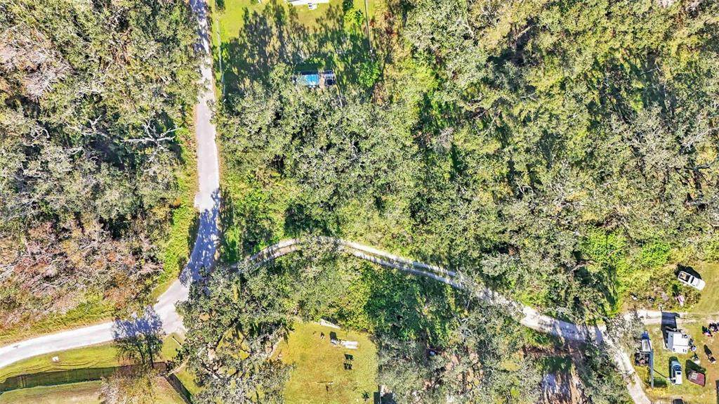  Arnaz Drive - Photo 1