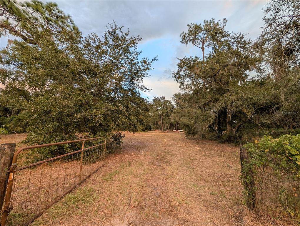 6916 Coronet Road - Photo 1