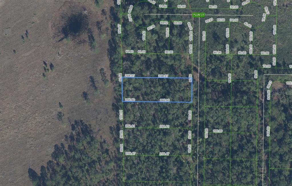4705 Rhubarb Street - Photo 1