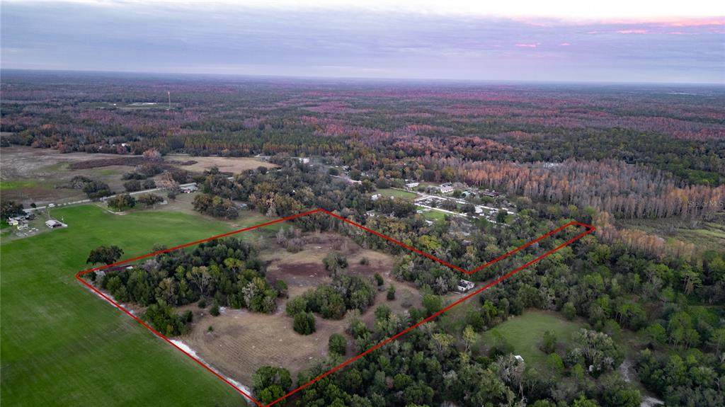 7229 Jill Lane - Photo 1