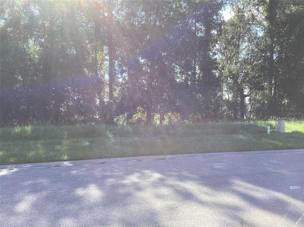 4589 Majestic Hills Loop - Photo 1
