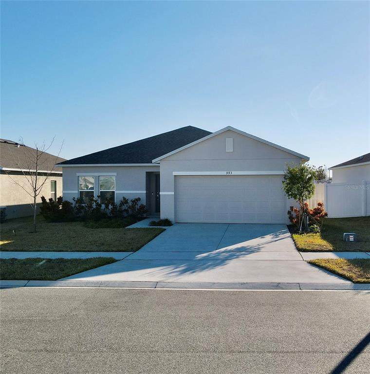 993 Calico Pointe Circle - Photo 1
