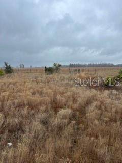1137 Hopkins Lane - Photo 1