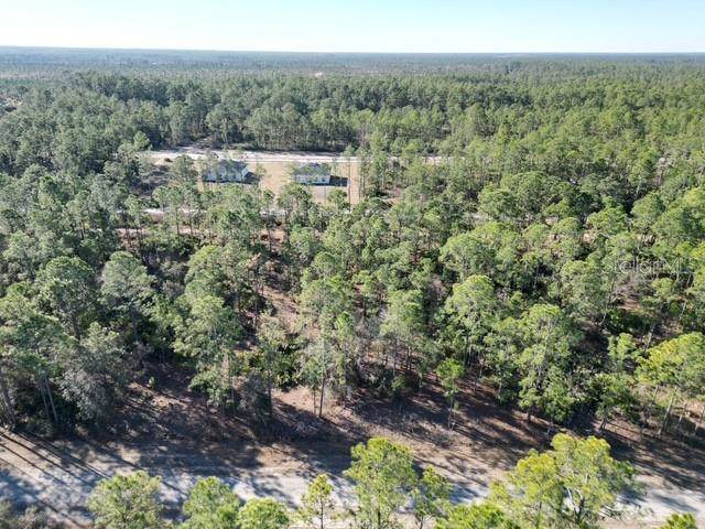 705 Laguna Drive - Photo 1