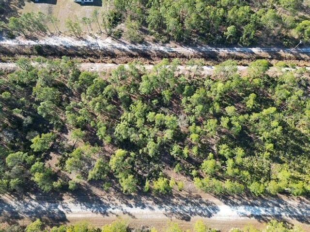 707 Laguna Drive - Photo 1