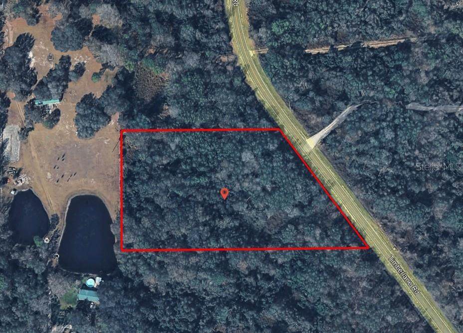  Timberlane Road - Photo 1