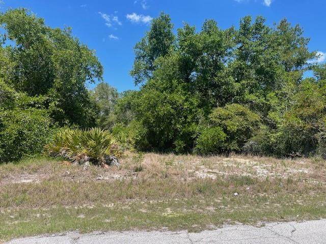  Kissimmee Way - Photo 1