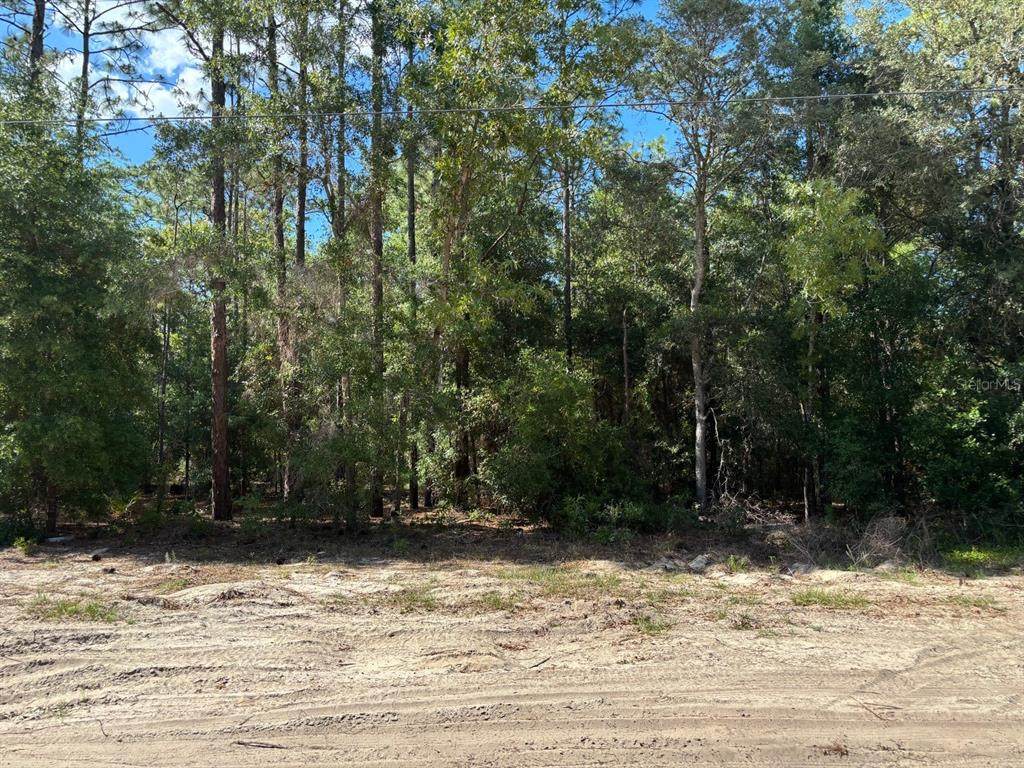 0A Sw 93Rd Place - Photo 1