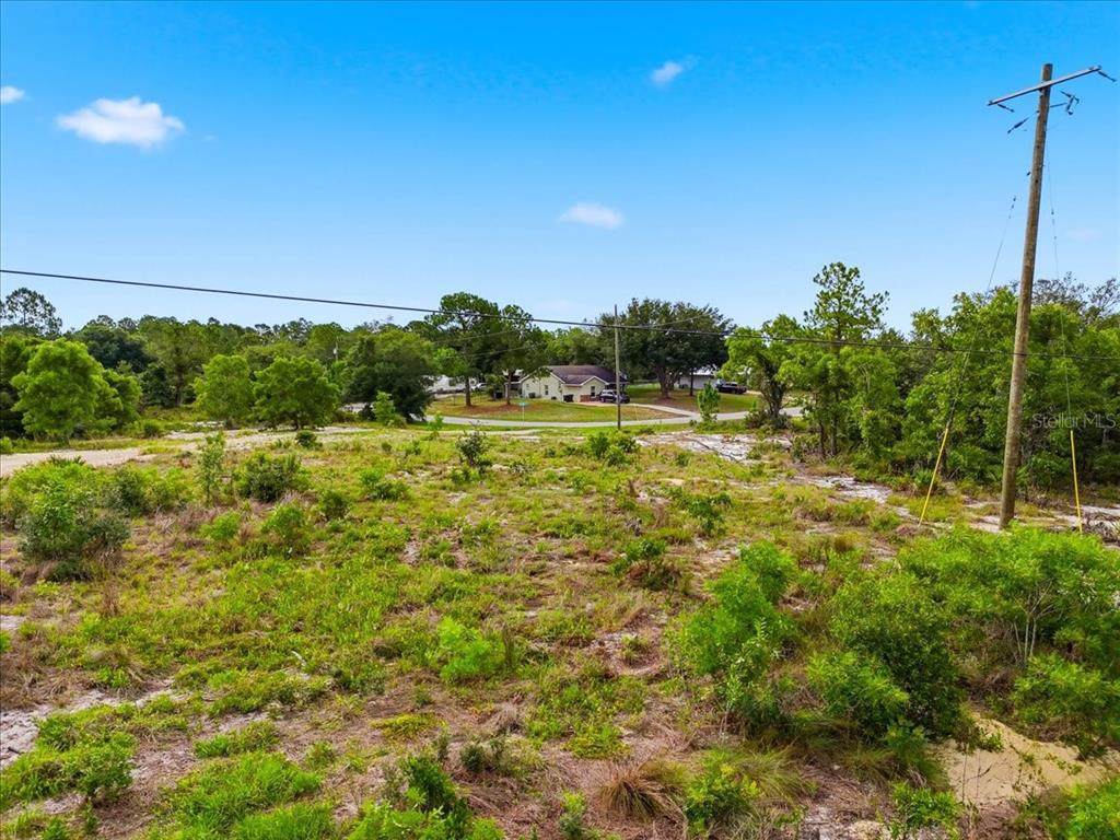 2000 Lemon Drive - Photo 1