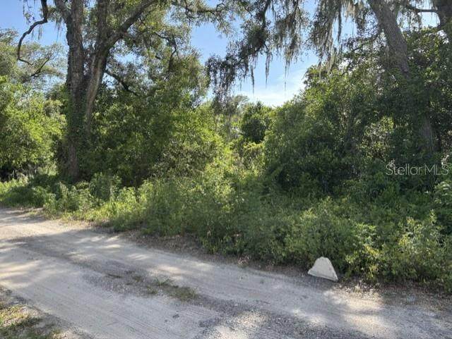 7157 Glory Road - Photo 1