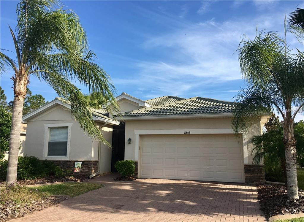 11803 Breadfruit Lane - Photo 1