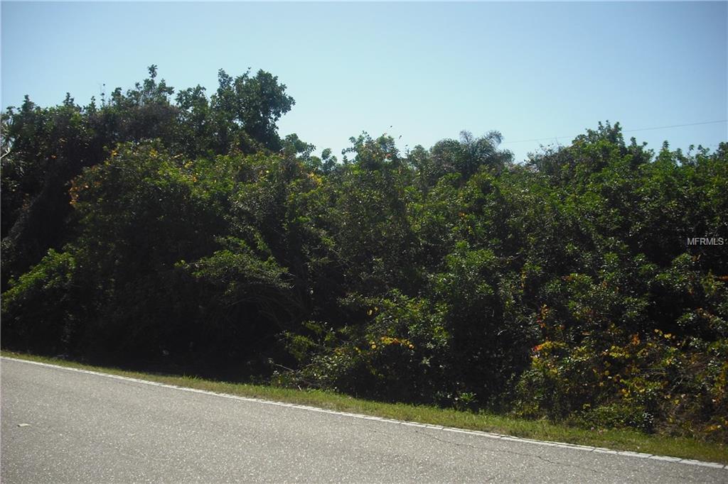 Alligator Drive - Photo 1