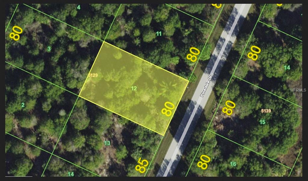 7123 Pinedale Drive - Photo 1