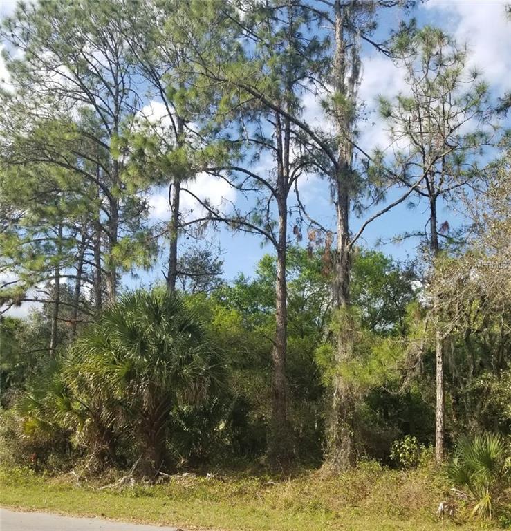 0 Shaffer Avenue - Photo 1