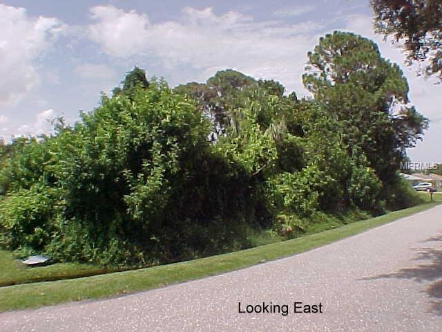 Periwinkle Road - Photo 1