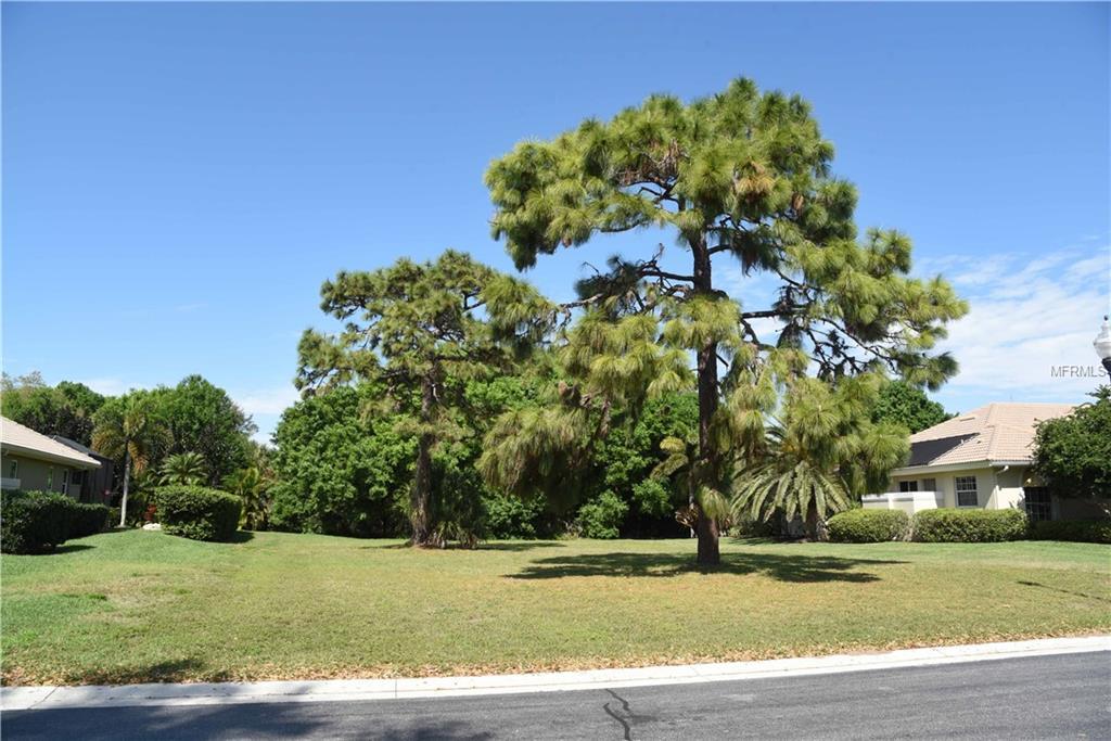 325 Venice Golf Club Drive - Photo 1