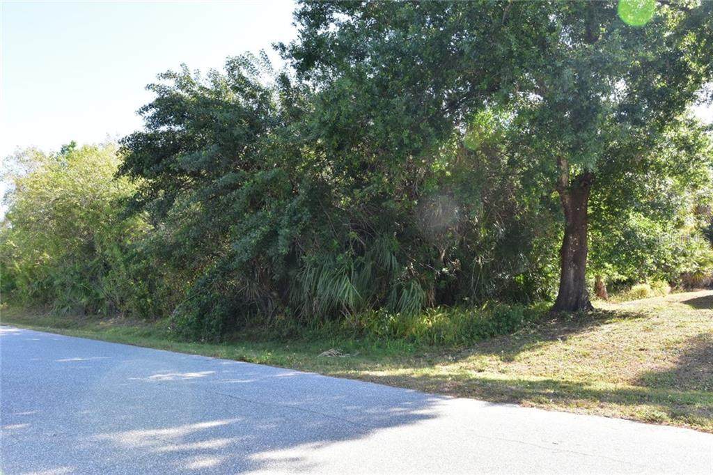 709 Phyllis Street - Photo 1