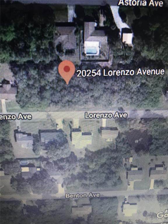 20254 Lorenzo Avenue - Photo 1