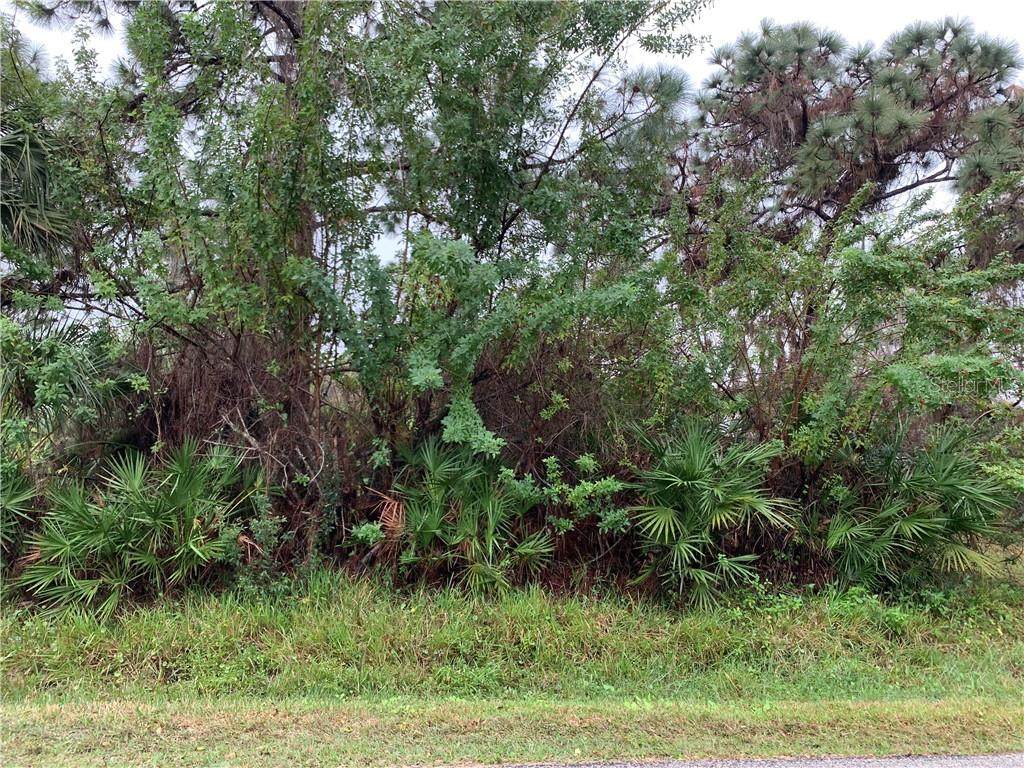 8319 Cypress Road - Photo 1