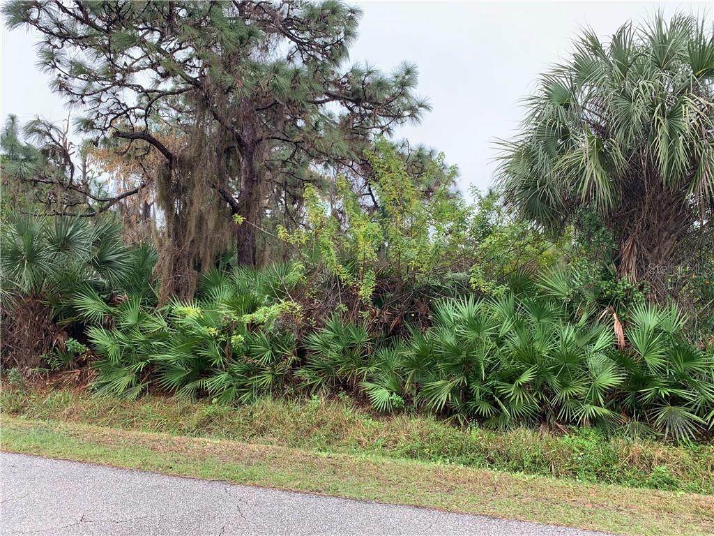 8325 Cypress Road - Photo 1