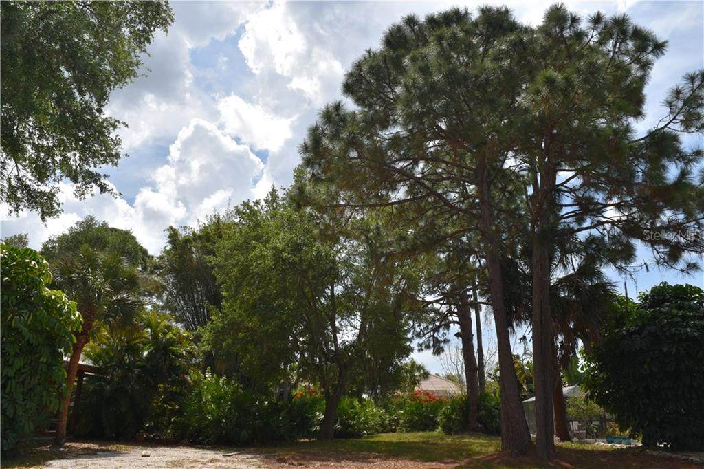 Guild Drive - Photo 1