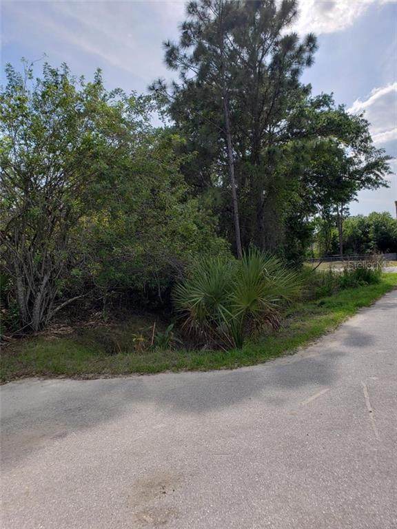 23427 Hemenway Avenue - Photo 1