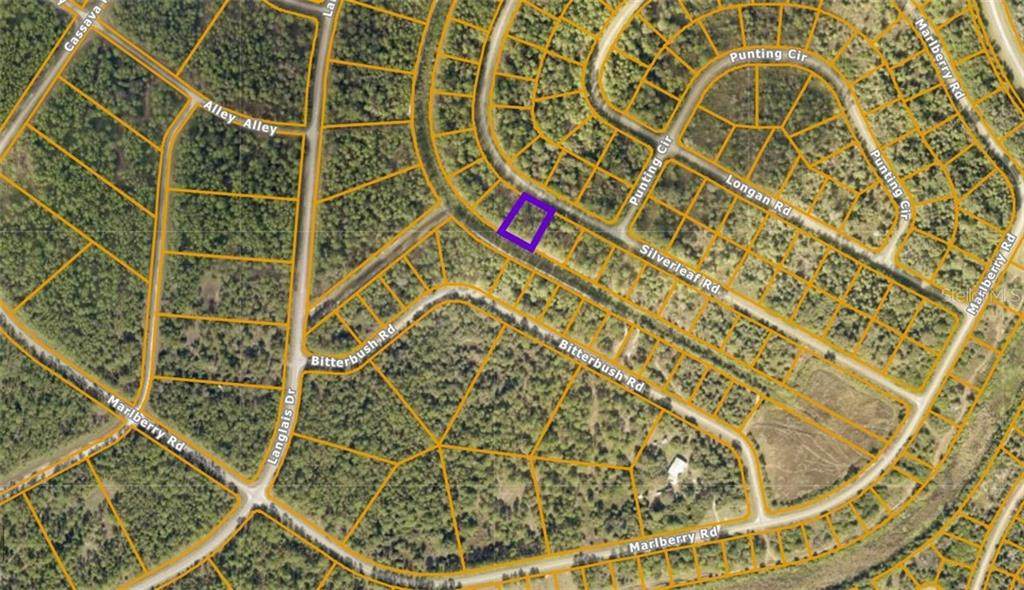 Silverleaf Road - Photo 1
