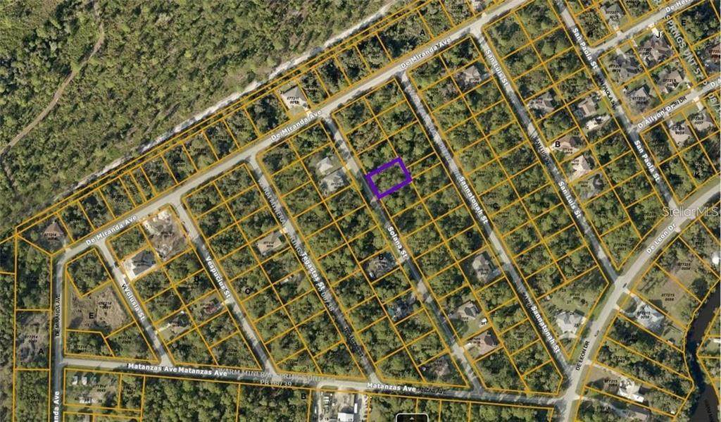 Lots 49 & 50 Solana Street - Photo 1