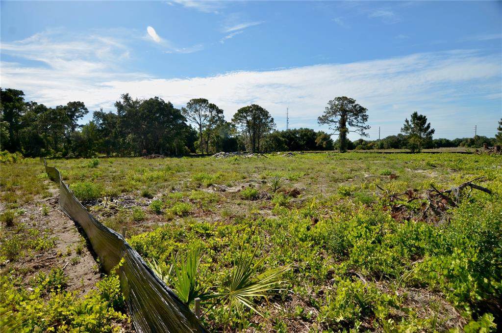 500 Paul Morris Drive - Photo 1
