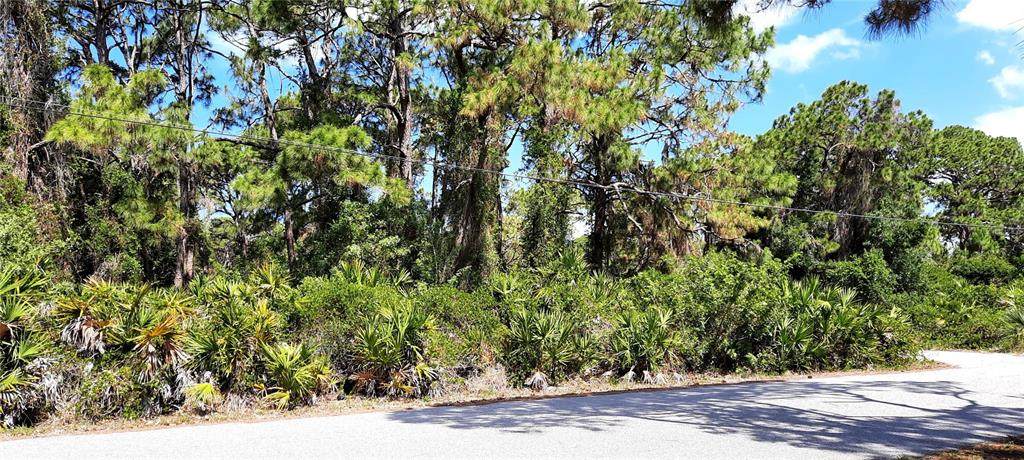 00 Venisota Road - Photo 1
