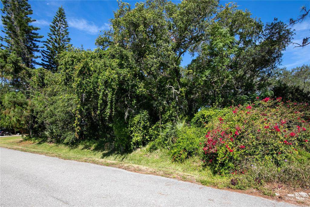 Acadia Road - Photo 1